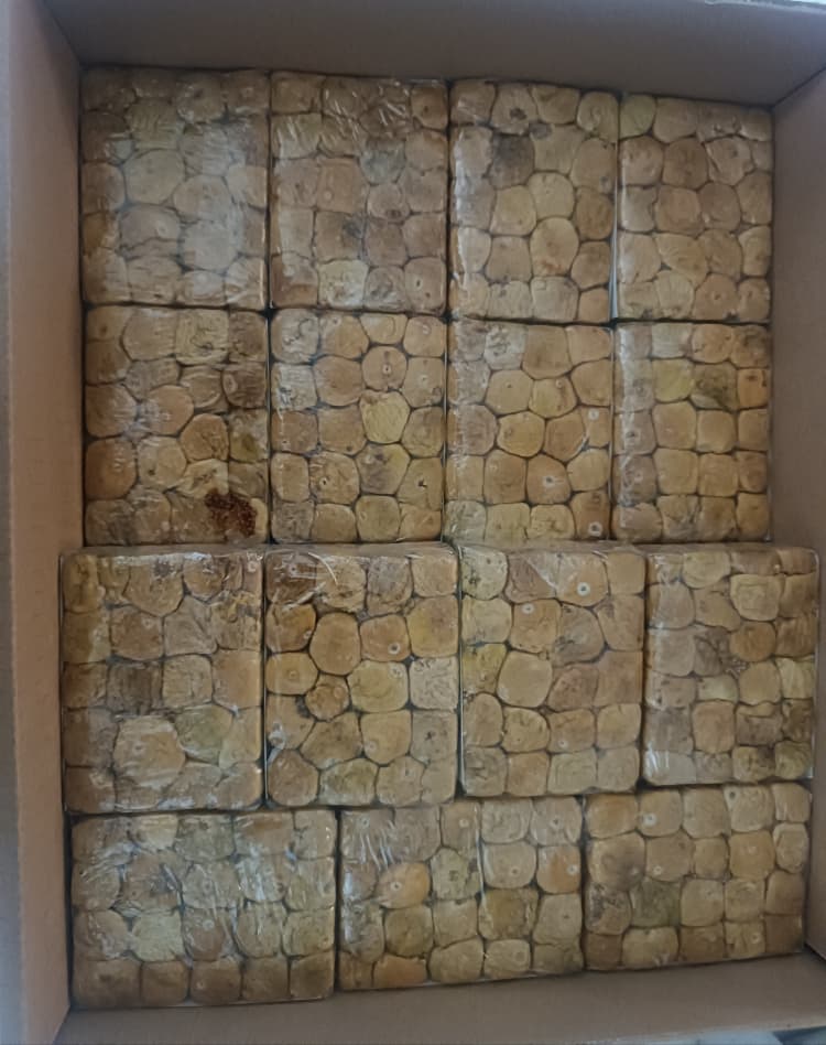 خرید به صرفه انجیر پرسی + نرخ روز